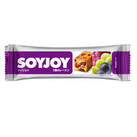 ソイジョイ　3種のレーズン　1セット（24本）　栄養食品　低GI食品　大塚製薬