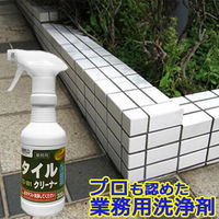 ビアンコジャパン 洗面台の水垢撃退2点セット ts-101_set300_micro 1セット