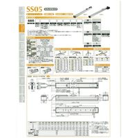 TRANSERVO 電動アクチュエータ スライダタイプ コントローラポジショナタイプ SS05-06SN-Z-C-150-3K-SHCC-B（直送品）