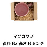 ヘッズ 無地クラフトスマートボックス-15 外寸：W107×H117×D114mm MSM-GB15 1セット（50枚：10枚入×5パック）