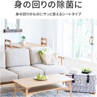 MSソリューションズ 除菌ウェットティッシュ 80枚入り PL-DW01WH80 1個