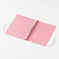 セキセイ のびーるファイル エスヤード PP製 ピンク AE-1250-21 1冊