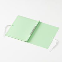 セキセイ のびーるファイル　エスヤード　PP製　グリーン AE-1250-30 1冊