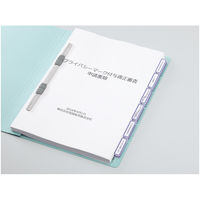 コクヨ IJP用インデックス紙ラベル ハガキサイズ10枚入 KJ-6035B 1セット(10シート)