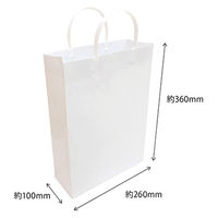 【紙手提げ袋】 エヒメ紙工 ラミネートバッグA4 白 PPA4-WH 1個