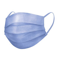 医食同源ドットコム SPUN MASK スパンレース　不織布カラーマスク（パープル）　1袋（7枚入）