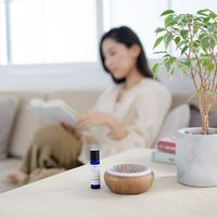 sparoom ピュアオイル スイートオレンジ 10ml 6本セット 852313007005（直送品）