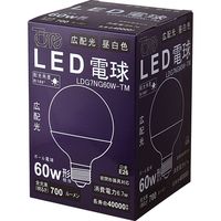 東京メタル工業 G型E26LED LDG7NG60W-TM 1セット(1個×6)