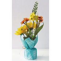 アルファ ひまわりミックスペアラッピング（２個１セット） TE2-0411（直送品）