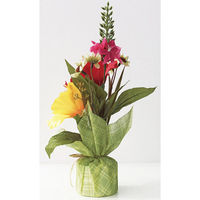 アルファ トロピカルペアラッピング（２個１セット） TE2-0412（直送品）