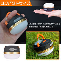 グリーンクロス LEDランタン 2個セット 6300025691 1台