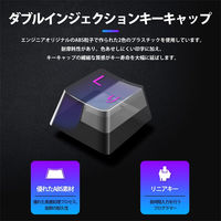 ゲーミングキーボード 有線 赤軸 テンキーレス 日本語配列 91キー メカニカルスイッチ G01 1個 iClever