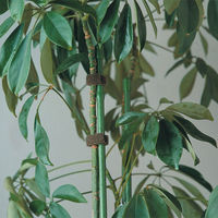 トラスコ中山 TRUSCO マジックバンド[[R下]]結束テープ両面幅10mmX長さ1.5m青 MKT-1015-B 1巻 361-9877（直送品）