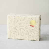 ヘッズ ベルプランツ包装紙-1 500枚(50枚×10) BEP-1W 1セット(500枚入)（直送品）