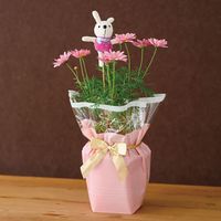 ヘッズ シルキーピンクOPPポットカバー-5 250枚(50枚×5) SIP-PI5 1セット(250枚入)（直送品）