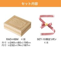 ヘッズ 春ラデューズ貼箱セット-10 20セット(4セット×5) SPR-SET10 1セット(20セット入)（直送品）