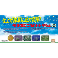【農薬】 日産化学 グラスジンMナトリウム500ml 2057452 1本（直送品）