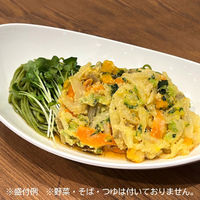 「業務用」 ニチレイ 彩り野菜かき揚げ50 3891000 500g(10枚入)×6袋×2ケース（直送品）