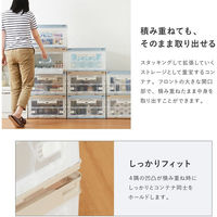 アイ・エル・シー 扉つき折りたたみコンテナ_ベージュ CB51NRL片扉L-BE 1個