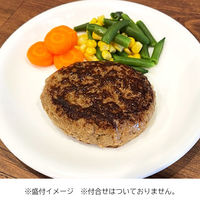 「業務用」 ニチレイ RUグレイビーハンバーグ110 3908000 110g×24個×2ケース（直送品）