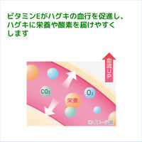 GUM(ガム) 歯周プロケア デンタルリンス ノンアルコール 420mL 1セット(2本) [マウスウォッシュ 殺菌 歯周病予防 口臭]