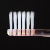 システマ ハブラシ ストレートハンドル 超コンパクト ふつう 歯周病ケア 1セット（2本）ライオン