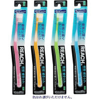 リーチ 奥歯集中ケア ちょっとコンパクト かため 12本 歯ブラシ