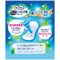 吸水パッド ライフリー いつもの下着で安心パッド 100cc 羽なし 29cm 1セット（22枚入×3パック）ユニ・チャーム