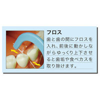 デンタルフロス デイリー デンタルフロス ようじタイプN 50本入 エビス