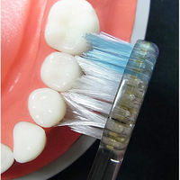 メディフィット 汎用山型ハブラシ ふつう 1セット（6本） エビス 歯ブラシ