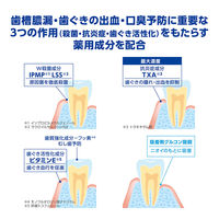 デントヘルス 薬用ハミガキ 口臭ブロック 85g 1セット（2本） ライオン 歯磨き粉 歯周病予防