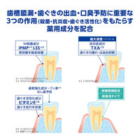 デントヘルス 薬用ハミガキ 無研磨ゲル 28g ライオン 歯磨き粉 歯周病予防