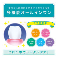 薬用 APホワイト ペースト リフレッシュミント 2本 サンスター 歯磨き粉 トータルケア ホワイトニング 美白 歯周病 虫歯 フッ素 口臭