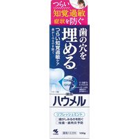 歯磨き粉 ハウメル 知覚過敏ケア 薬用ハミガキ 歯の穴を埋める 100g 1セット（2本） 小林製薬