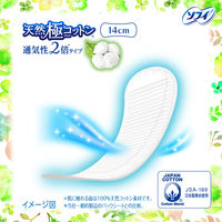 パンティライナー 生理用品 ソフィ はだおもいライナー 天然極コットン 通気性２倍タイプ 14cm 1セット (54枚×3パック)