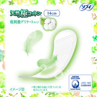 パンティライナー  ソフィ はだおもいライナー 天然極コットン　低刺激デリケートタイプ 14cm 1セット (50枚×3パック)