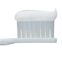 クリニカアドバンテージ ミニハミガキ 帯用 クールミント 虫歯予防 30g 1セット（12本）ライオン