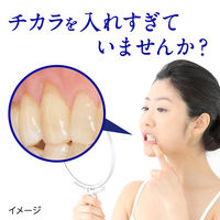 クリニカ PRO プロ　ハブラシ  4列 超コンパクト やわらかめ 1セット（6本） ライオン 歯ブラシ