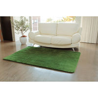 大一商事　ラグ　モダンフェザー　幅1300×奥行1900mm　グリーン　（直送品）