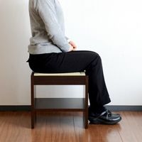 畳イス　リラッサ　高さ380mmタイプ　灰桜色　広浜　（直送品）