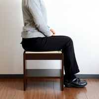 畳イス　リラッサ　高さ380mmタイプ　栗色　広浜　（直送品）