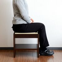 畳イス　リラッサ　高さ380mmタイプ　若草色　広浜　（直送品）