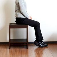 畳イス　リラッサ　高さ505mmタイプ　銀白色　広浜　（直送品）