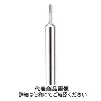 ミニター 電着ダイヤモンドバー #170 φ0.9 AD2107 1本（直送品）