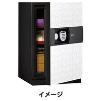 【アウトレット】【傷補修あり】ディプロマット【設置込】NEXTプレミアム耐火金庫 (1時間耐火) 76L DPS7500 1台　（直送品）