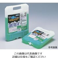 JEJアステージ 氷温パック ハード 1kg ハード1000 1セット(3個) 1-8650-03（直送品）