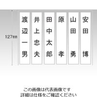 日本緑十字社 ネームケース 1人用 304010 1セット(3個) 9-174-01