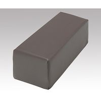 フィフティ・ヴィジョナリー 角枕 ブラウン NVK-BR 1セット(2個) 8-3242-02（直送品）