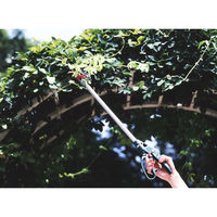 アルスコーポレーション Gクラシックガーデニング鋏 GC-150-0.6 1個