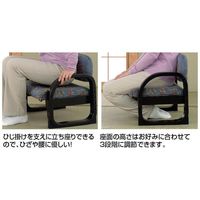 ファミリー・ライフ　木製座椅子　紺　（直送品）